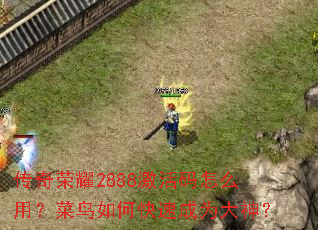 ������ҫ2888��������ô�ã�������ο��ٳ�Ϊ����