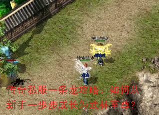 传奇私服一条龙攻略:如何从新手一步步成长为武林至尊? 传奇私服一条龙攻略:如何从新手一步步成长为武林至尊?