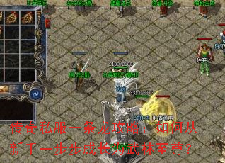 传奇私服一条龙攻略:如何从新手一步步成长为武林至尊? 传奇私服一条龙攻略:如何从新手一步步成长为武林至尊?