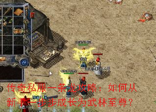 传奇私服一条龙攻略:如何从新手一步步成长为武林至尊? 传奇私服一条龙攻略:如何从新手一步步成长为武林至尊?