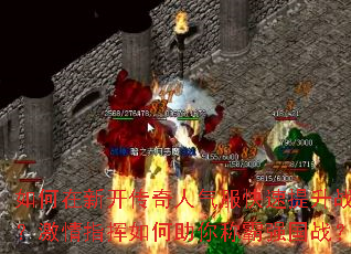 ������¿�������������������ս��������ָ���������ư�ǿ��ս��