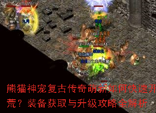 ��è��踴�Ŵ���������ο��ٿ��ģ�װ����ȡ����������ȫ����