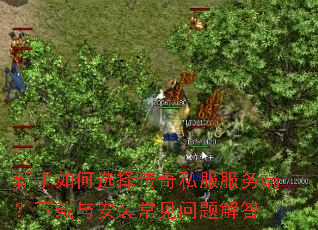 �������ѡ����˽������ˣ������밲װ����������