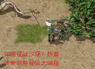 �����սɳ������Ѫ������ʤ�ؾ������