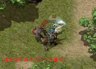 ��ʿ����ս�о����ж���Ҫ��