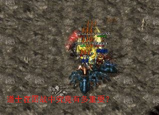 ��ʿ����ս�о����ж���Ҫ��