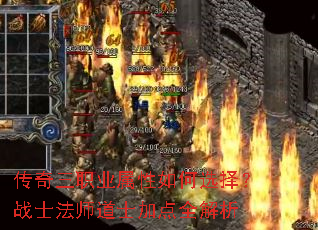 ������ְҵ�������ѡ��սʿ��ʦ��ʿ�ӵ�ȫ����