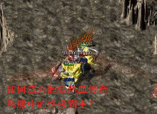 ��γ�Ϊ������Ѫ����˽���е��ռ�������