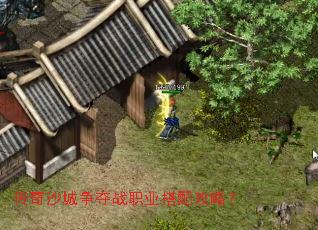 ����ɳ������սְҵ���乥�ԣ�