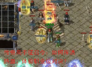 ��������������λ�����Ѫ������ְҵ���Ծ���