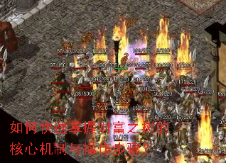 ��ο������ղƸ�֮���ĺ��Ļ�����������裿