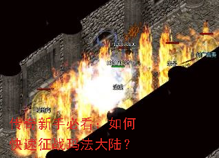 �������ֱؿ�����ο�����ս�귨��½��