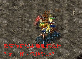 ���䴫��˽���·���ô�棿������ο��ٵǶ���