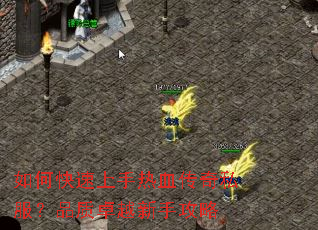 ��ο���������Ѫ����˽����Ʒ��׿Խ���ֹ���