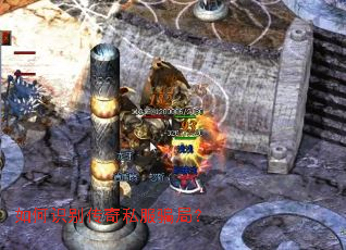 ���ʶ����˽��ƭ�֣�