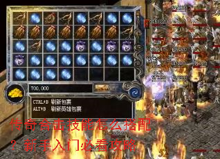 ����ϻ�������ô���䣿�������űؿ�����