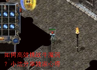 ��θ�Ч��սţħ����С�����������ĵ�