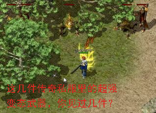 �⼸������˽����ĳ�ǿ��̬�����������������