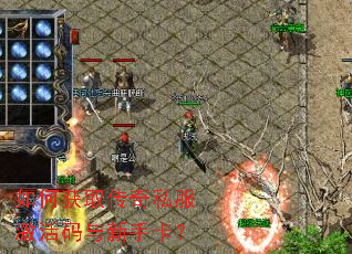 ��λ�ȡ����˽�������������ֿ���