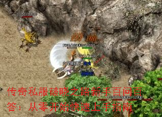 ����˽������֮·���ְ��ʰٴ𣺴��㿪ʼ��������ָ��