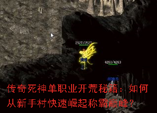 ��������ְҵ�����ؼ�����δ����ִ��������ư��۷壿