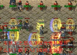 ������֮ŭ����洫��˽����ô�棿�������Ź���ȫ����