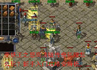 ������֮ŭ����洫��˽����ô�棿�������Ź���ȫ����