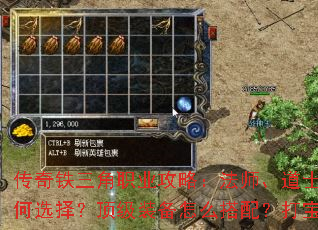 ����������ְҵ���ԣ���ʦ����ʿ��սʿ�ļ������ѡ�񣿶���װ����ô���䣿���ؼ�����Щ��
