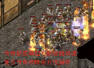 �������������°泬���ٸ��Ŵ��湥��ȫ��λ����
