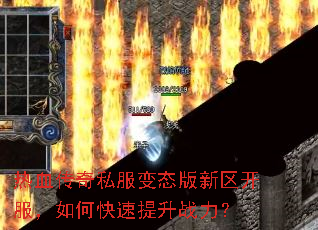 ��Ѫ����˽����̬��������������ο�������ս����