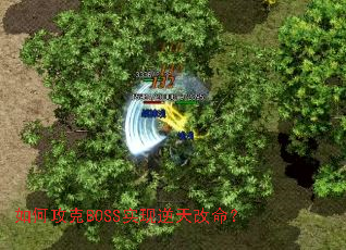��ι���BOSSʵ�����������