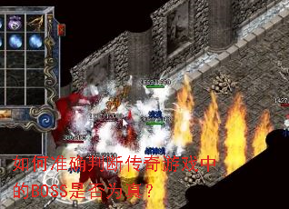 ���׼ȷ�жϴ�����Ϸ�е�BOSS�Ƿ�Ϊ�棿