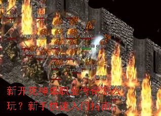 �¿�����ְҵ������ô�棿���ֿ�������ָ��