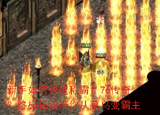 ������ο��ٳư�1.76���棿�ռ��ؼ�����Ӳ�������