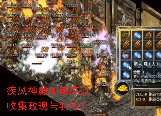 疾风神殿如何高效收集玫瑰与羽毛? 疾风神殿如何高效收集玫瑰与羽毛?