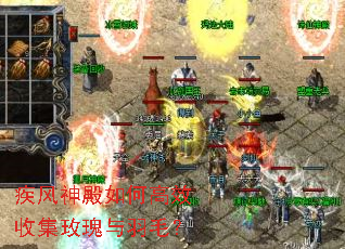 疾风神殿如何高效收集玫瑰与羽毛? 疾风神殿如何高效收集玫瑰与羽毛?