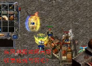 疾风神殿如何高效收集玫瑰与羽毛? 疾风神殿如何高效收集玫瑰与羽毛?