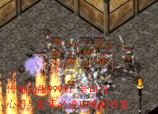 ����˽��9999����˾���ĵ������ֱض������ʴ�