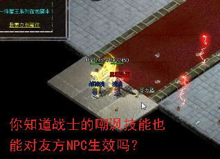 ��֪��սʿ�ĳ�������Ҳ�ܶ��ѷ�NPC��Ч��