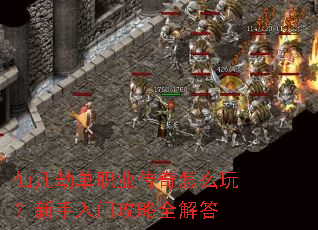 �ɷ��ٵ�ְҵ������ô�棿�������Ź���ȫ���