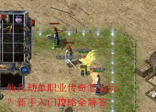 �ɷ��ٵ�ְҵ������ô�棿�������Ź���ȫ���