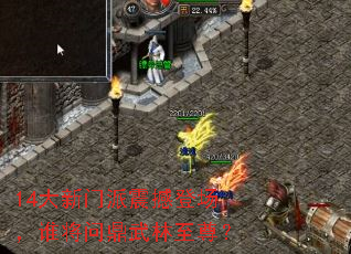 14���������𺳵ǳ���˭���ʶ���������