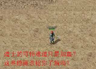 道士的可怕难道只是加血?这些隐藏杀招你了解吗? 道士的可怕难道只是加血?这些隐藏杀招你了解吗?