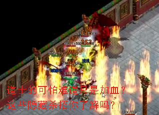 ��ʿ�Ŀ����ѵ�ֻ�Ǽ�Ѫ����Щ����ɱ�����˽���
