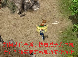 ��δӴ������ֿ��ٳɳ�Ϊ�������񣿶��ұ�̬˽������ȫ����