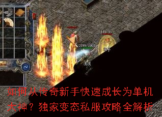 ��δӴ������ֿ��ٳɳ�Ϊ�������񣿶��ұ�̬˽������ȫ����