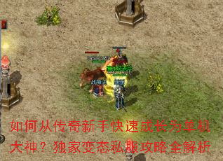 ��δӴ������ֿ��ٳɳ�Ϊ�������񣿶��ұ�̬˽������ȫ����