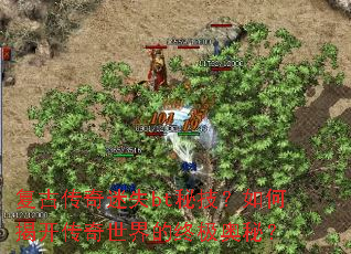 ���Ŵ�����ʧbt�ؼ�����νҿ�����������ռ����أ�