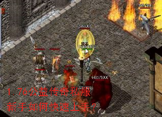 1.76���洫��˽��������ο������֣�