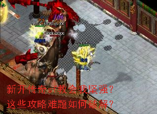 �¿�����sf�̻��Ҽ�ǿ����Щ������������ƽ⣿